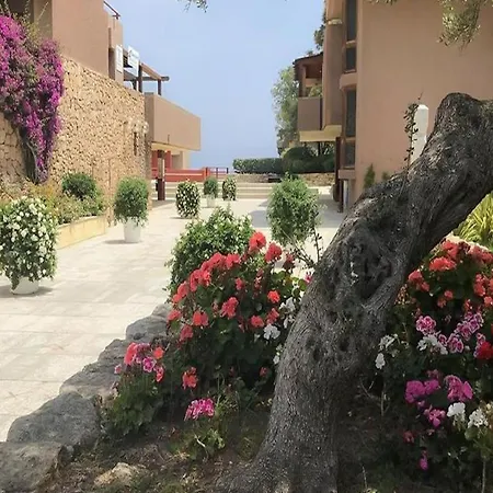 Simplistic In With Garden